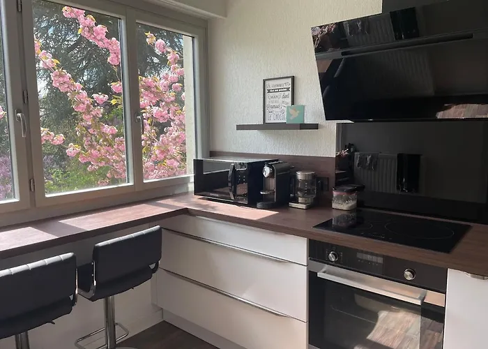 F3 Cocooning Parking Privé Gratuit Vue Sur Le Parc * Évreux